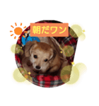 《チワックス》レイナのスタンプ（個別スタンプ：1）