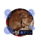 《チワックス》レイナのスタンプ（個別スタンプ：2）