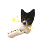 ファンタジスタペレ3（個別スタンプ：1）