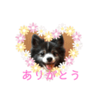 ファンタジスタペレ3（個別スタンプ：3）