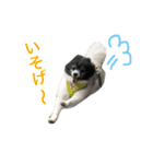 ファンタジスタペレ3（個別スタンプ：4）