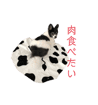 ファンタジスタペレ3（個別スタンプ：7）