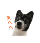 ファンタジスタペレ3（個別スタンプ：8）