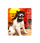 ファンタジスタペレ3（個別スタンプ：9）