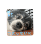 ファンタジスタペレ3（個別スタンプ：11）