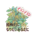 運命美容アロマ占いスタンプ パート1（個別スタンプ：14）