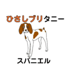 くだらない日常会話（個別スタンプ：2）