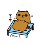 ビバ美（個別スタンプ：36）