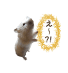ハムスターのきゅうちゃん～リアクション編（個別スタンプ：20）