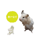 ハムスターのきゅうちゃん～リアクション編（個別スタンプ：21）