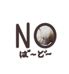 ハムスターのきゅうちゃん～奄美の島口編（個別スタンプ：32）