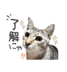 ザギちゃん＆トワくん☆スタンプ2（個別スタンプ：1）