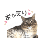 ザギちゃん＆トワくん☆スタンプ2（個別スタンプ：4）