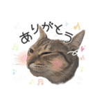 ザギちゃん＆トワくん☆スタンプ2（個別スタンプ：7）