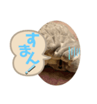 まるこ15（個別スタンプ：7）