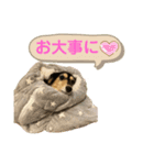 まるこ15（個別スタンプ：9）