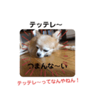 俺スタンプ 4（なんでや編）（個別スタンプ：7）