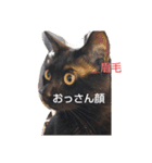 俺スタンプ 4（なんでや編）（個別スタンプ：11）