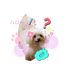 癒しのマリンスタンプ（個別スタンプ：7）