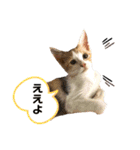 うえはらムギの日常会話（個別スタンプ：9）