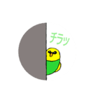 小鳥隊  第1団（個別スタンプ：5）