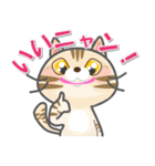 毎日ネコと一緒LINEスタンプ2（個別スタンプ：3）