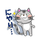 毎日ネコと一緒LINEスタンプ2（個別スタンプ：5）