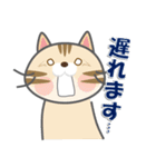 毎日ネコと一緒LINEスタンプ2（個別スタンプ：11）