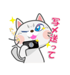 毎日ネコと一緒LINEスタンプ2（個別スタンプ：17）