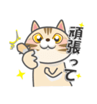 毎日ネコと一緒LINEスタンプ2（個別スタンプ：18）