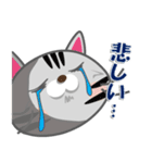 毎日ネコと一緒LINEスタンプ2（個別スタンプ：20）