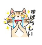 毎日ネコと一緒LINEスタンプ2（個別スタンプ：24）