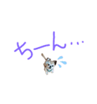 愛犬ZEROのスタンプ1（個別スタンプ：2）