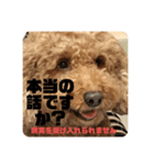イッヌフレンズ2（個別スタンプ：7）