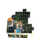 豆柴ワン（個別スタンプ：8）