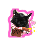 黒猫こおちゃんスタンプ（個別スタンプ：8）