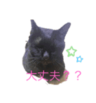 黒猫こおちゃんスタンプ（個別スタンプ：14）