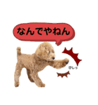 大人になったもなたんスタンプ（個別スタンプ：1）