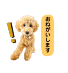 大人になったもなたんスタンプ（個別スタンプ：2）
