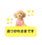 大人になったもなたんスタンプ（個別スタンプ：3）