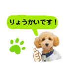 大人になったもなたんスタンプ（個別スタンプ：4）