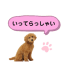 大人になったもなたんスタンプ（個別スタンプ：5）