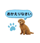 大人になったもなたんスタンプ（個別スタンプ：6）