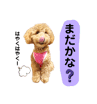 大人になったもなたんスタンプ（個別スタンプ：7）