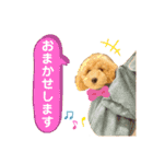 大人になったもなたんスタンプ（個別スタンプ：8）