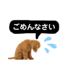 大人になったもなたんスタンプ（個別スタンプ：10）