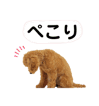 大人になったもなたんスタンプ（個別スタンプ：11）