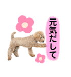 大人になったもなたんスタンプ（個別スタンプ：12）