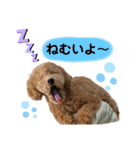 大人になったもなたんスタンプ（個別スタンプ：13）