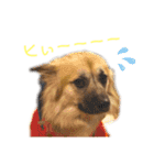 ムサシの⭐️む vol.2（個別スタンプ：1）